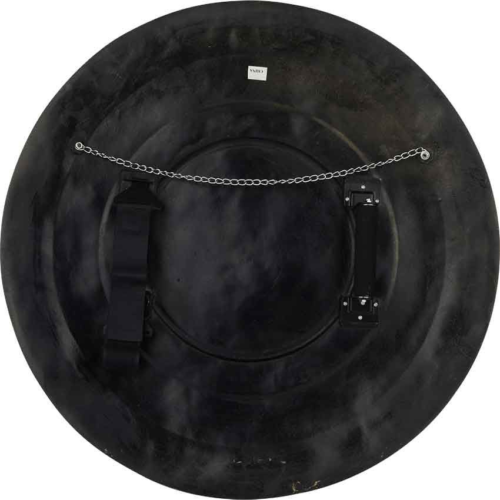 Spartan Warrior Shield