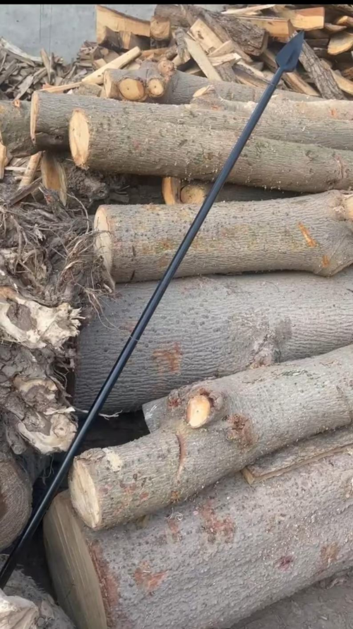 Spartan Spear from 300